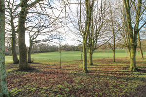 Photo 12- click for photo gallery